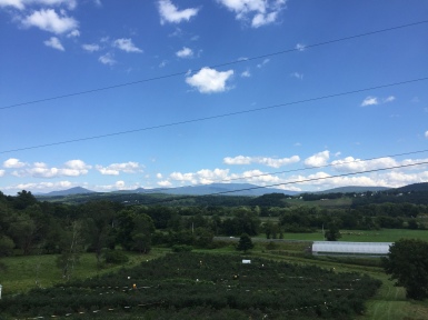 View from 4 Corners Farm